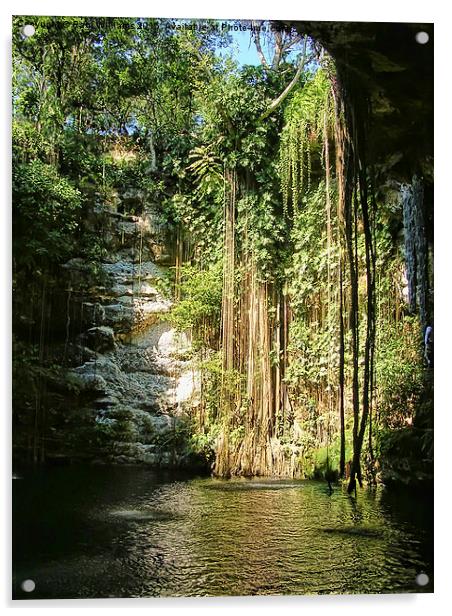  Cenote Acrylic by Paul Williams