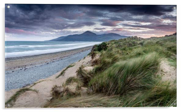 Murlough Beach Sand Dunes Mourne Mountains Norther Acrylic by Chris Curry