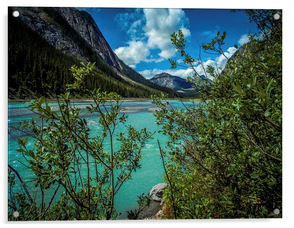  Bow River flowing Rocky Mountains Canada Acrylic by Chris Curry