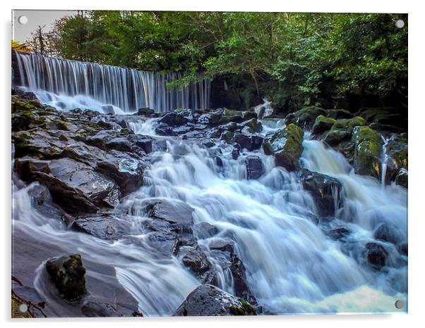 Waterfall, Crumlin Glen, Antrim, N.Ireland Acrylic by Chris Curry