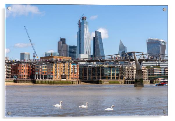 Swans on the River Thames and London Skyline Acrylic by Dave Wood