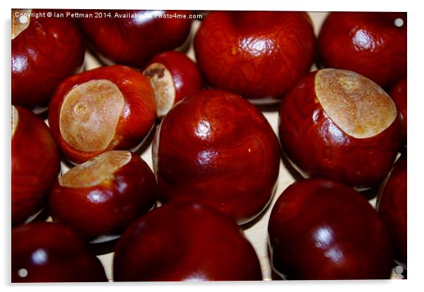  Conkers Acrylic by Ian Pettman