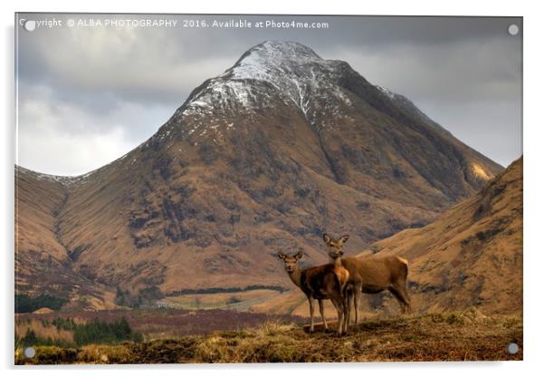 Glen Etive, Scotland. Acrylic by ALBA PHOTOGRAPHY