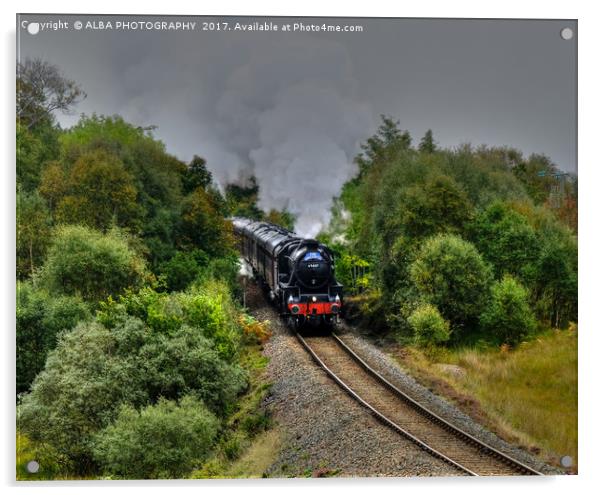 The Jacobite Steam Train. Acrylic by ALBA PHOTOGRAPHY