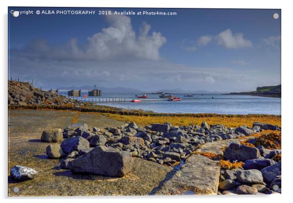 Isle of Muck Harbour, Small Isles, Scotland Acrylic by ALBA PHOTOGRAPHY