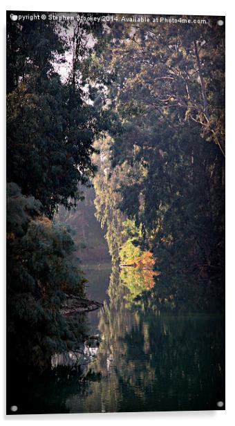 Jordan River at Yardinet, Israel Acrylic by Stephen Stookey