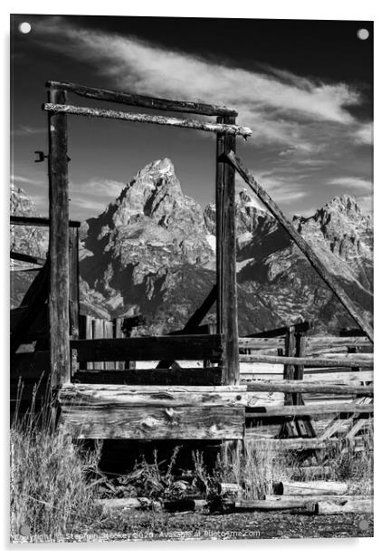 Corral and Tetons Acrylic by Stephen Stookey