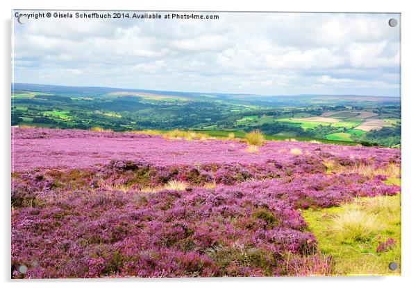  Heather in Bloom in the North York Moors Acrylic by Gisela Scheffbuch