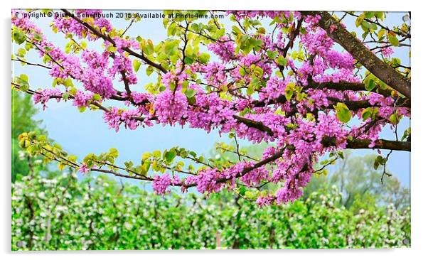 Blossoming Season Acrylic by Gisela Scheffbuch