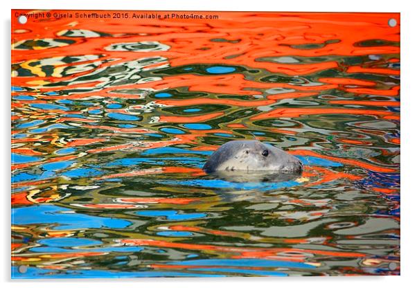  Swimming in Colourful Water Acrylic by Gisela Scheffbuch