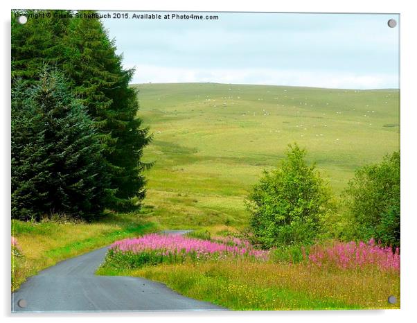  Scenery in the Black Mountain Acrylic by Gisela Scheffbuch