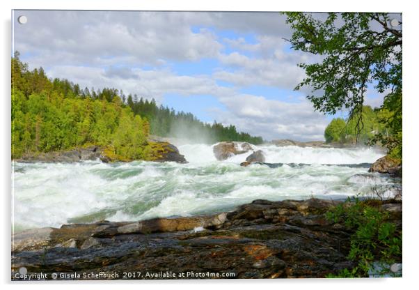 Malselvfossen       Acrylic by Gisela Scheffbuch