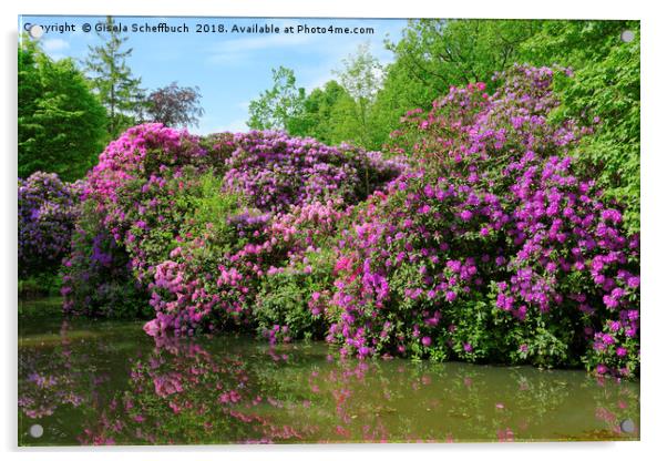 Marvellous Rhododendron in the Park Acrylic by Gisela Scheffbuch
