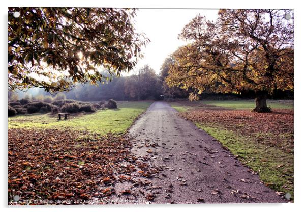 Autumn at Sutton Park Acrylic by Rachel J Bowler