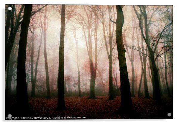 Dark Woods Acrylic by RJ Bowler