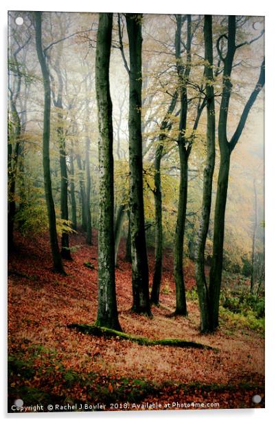 Enchanted Autumn Woodland Acrylic by RJ Bowler
