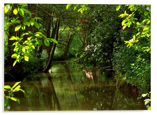 Tranquill River Acrylic by carol hynes