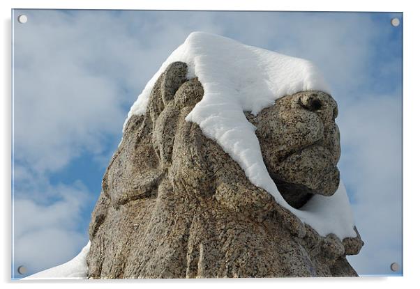 Snow-covered lion statue Stuttgart Acrylic by Matthias Hauser