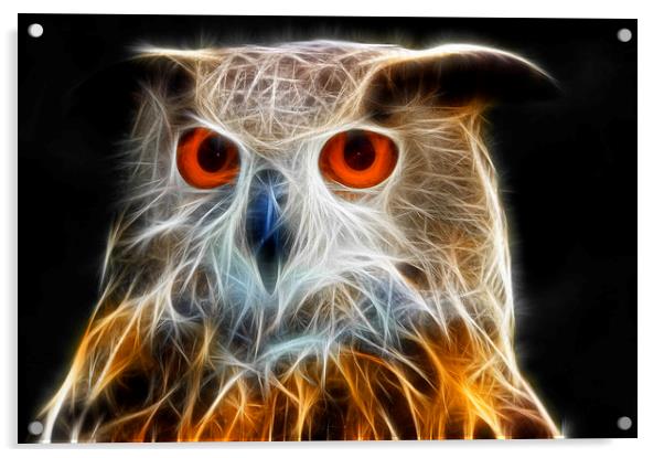 Owl fractal art Acrylic by Matthias Hauser