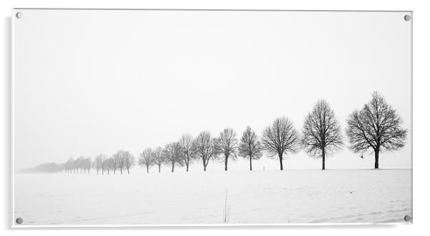 Minimalist winter landscape with trees Acrylic by Matthias Hauser