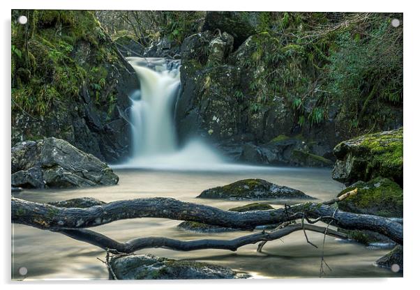 Scottish Waterfall Acrylic by Adrian Hargan