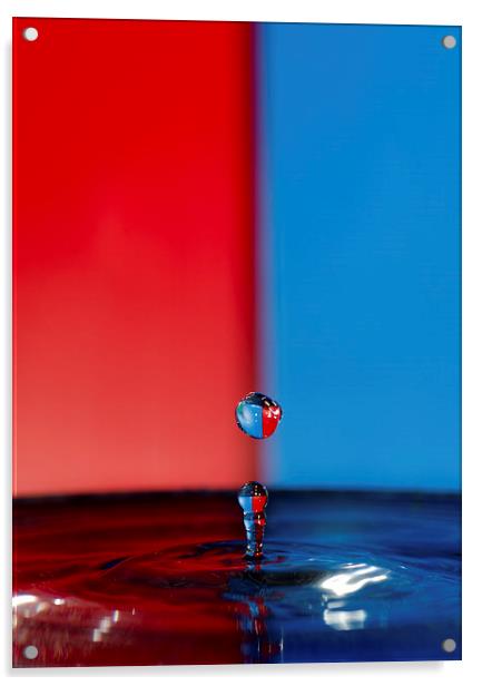 Water Droplet Red/Blue Acrylic by Jade Wylie