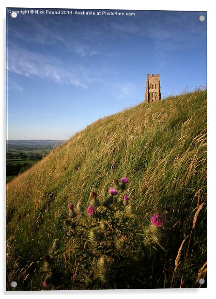 Glastonbury Tor and a Thistle Acrylic by Nick Pound