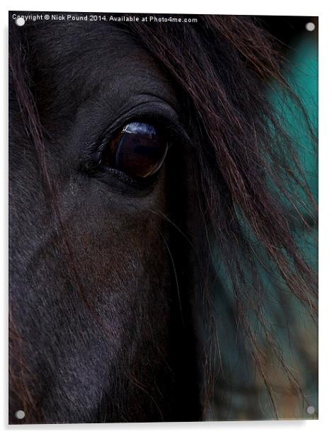 Fell Pony Eye Acrylic by Nick Pound
