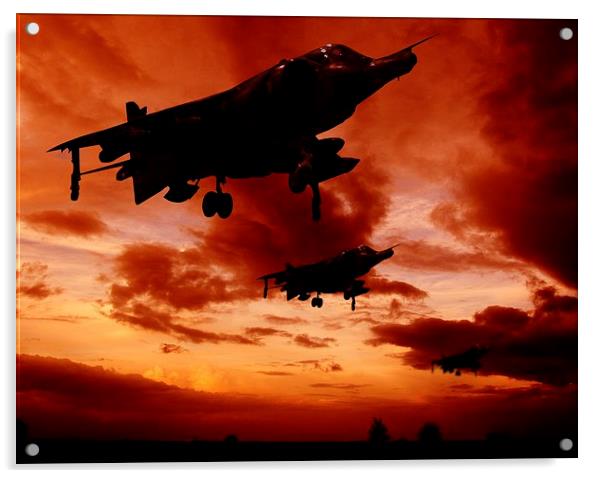 Harriers at sun rise Acrylic by sean clifford