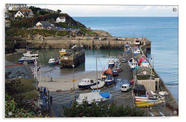 Newqay Harbour Acrylic by Peter Farrington