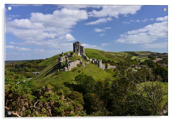  Corfe castle on a summer afternoon Acrylic by Shaun Jacobs