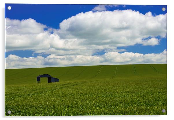 Lone barn in a corn field  Acrylic by Shaun Jacobs
