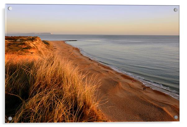 Hengistbury Head beach  Acrylic by Shaun Jacobs