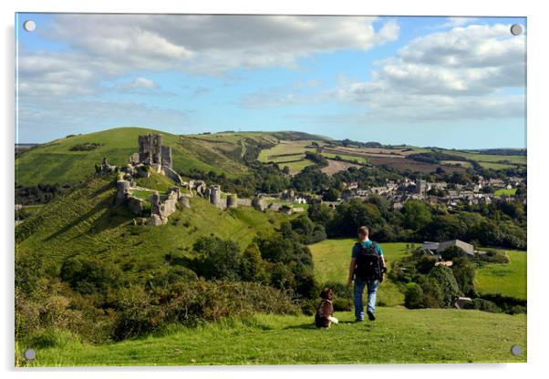 Dog walking in the hills by Corfe castle  Acrylic by Shaun Jacobs