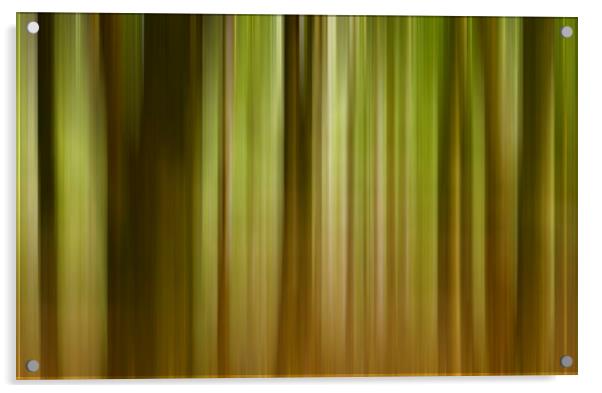 Motion blur  Acrylic by Shaun Jacobs