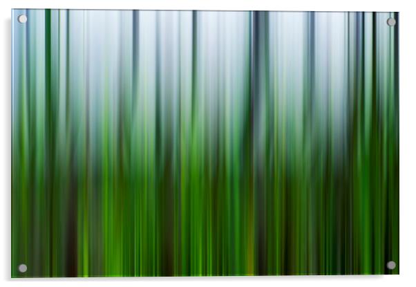 Motion blur  Acrylic by Shaun Jacobs