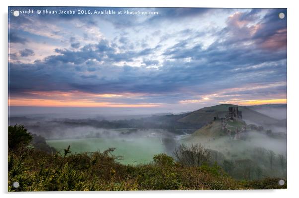 Corfe castle in the mist  Acrylic by Shaun Jacobs