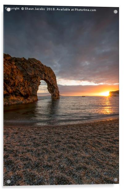 Durdle Door bathed by the sun  Acrylic by Shaun Jacobs