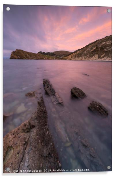 Lulworth cove sunrise  Acrylic by Shaun Jacobs