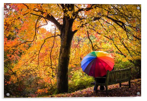 Autumn Colours in the Rain Acrylic by Kelvin Trundle