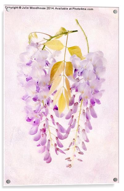 Wisteria Acrylic by Julie Woodhouse