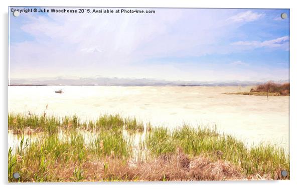 Albufera Lagoon Acrylic by Julie Woodhouse