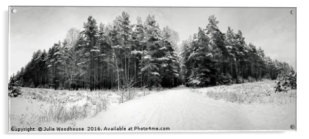 Winter forest Acrylic by Julie Woodhouse