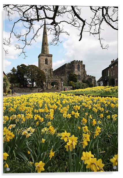 Spring Daffodils Acrylic by John Keates