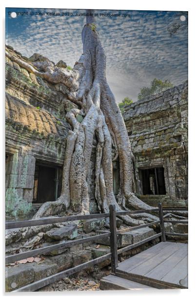 Tree roots at Ta Prohm temple Cambodia  Acrylic by John Keates