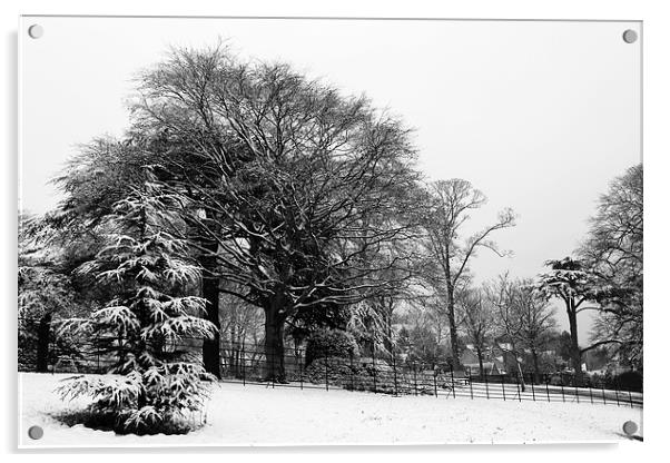 Winter at Cusworth Acrylic by John Atkins
