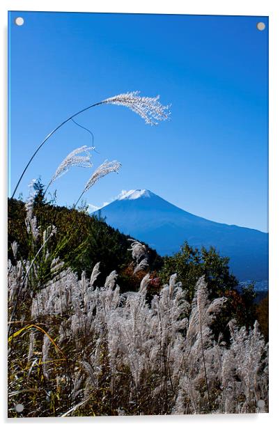 Mount Fuji Acrylic by Chris Gilloch