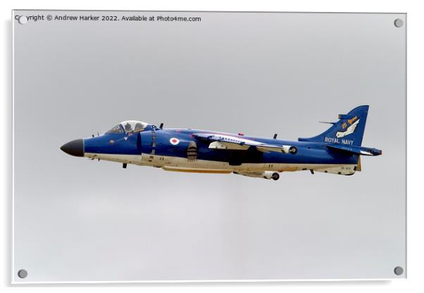 British Aerospace Sea Harrier FA.2 Acrylic by Andrew Harker