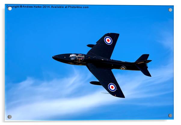 Hawker Hunter T.7A  Acrylic by Andrew Harker