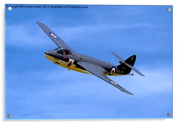 Hawker Sea Hawk FGA.6  Acrylic by Andrew Harker
